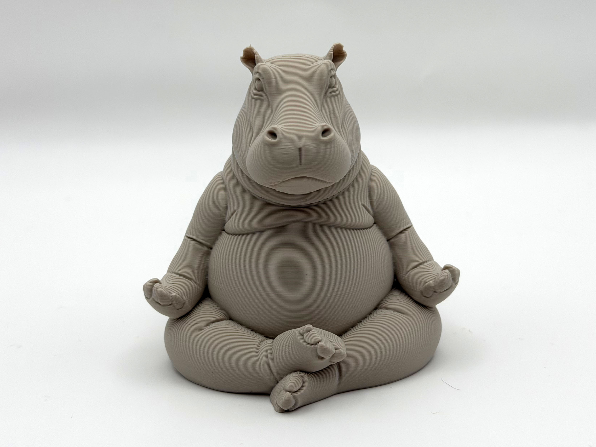Meditating Hippo — miniatura 3