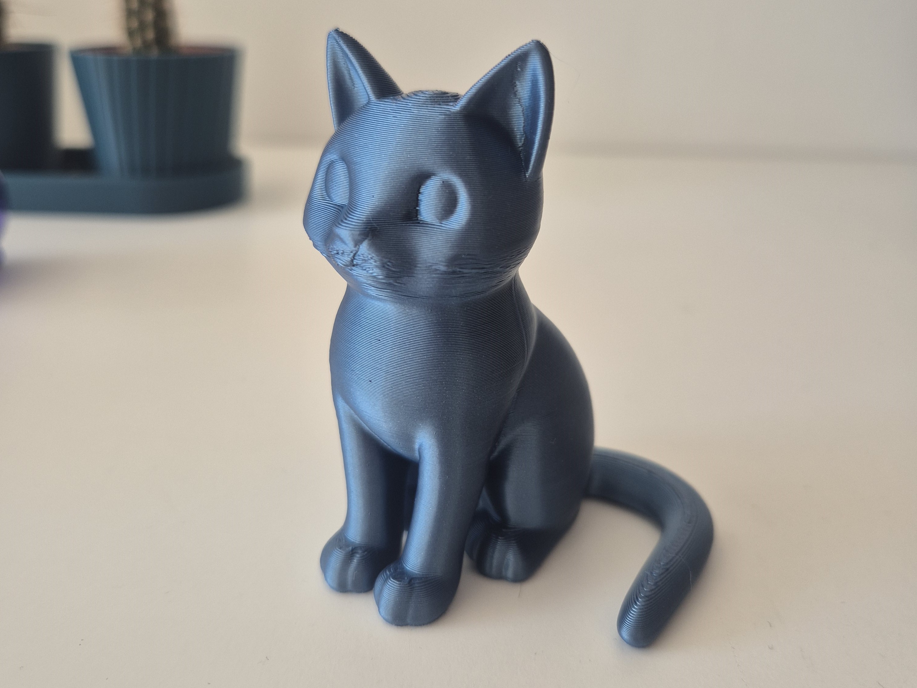 Cute Cat
