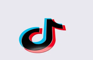 TikTok Logo (Small)
