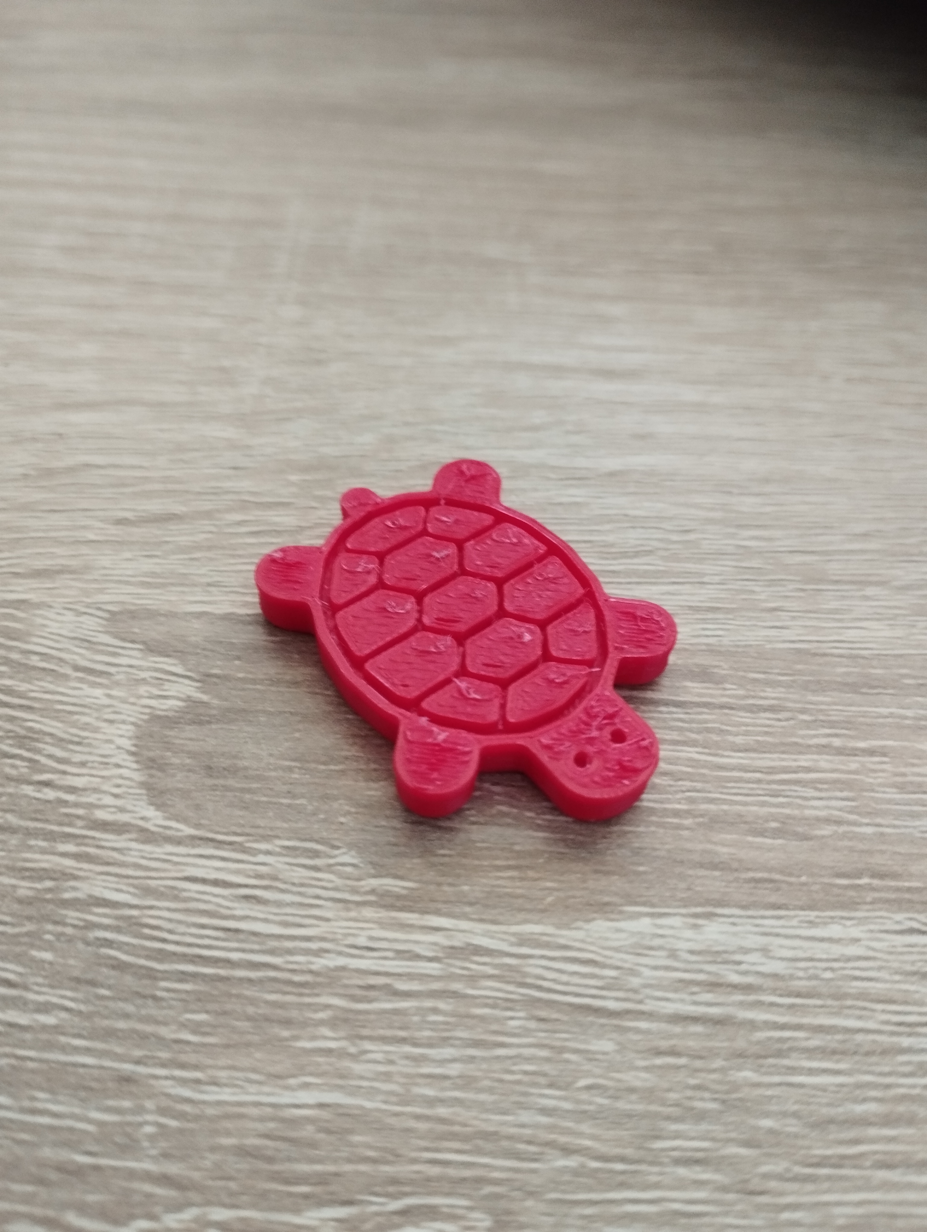 Tiny Flat Turtle