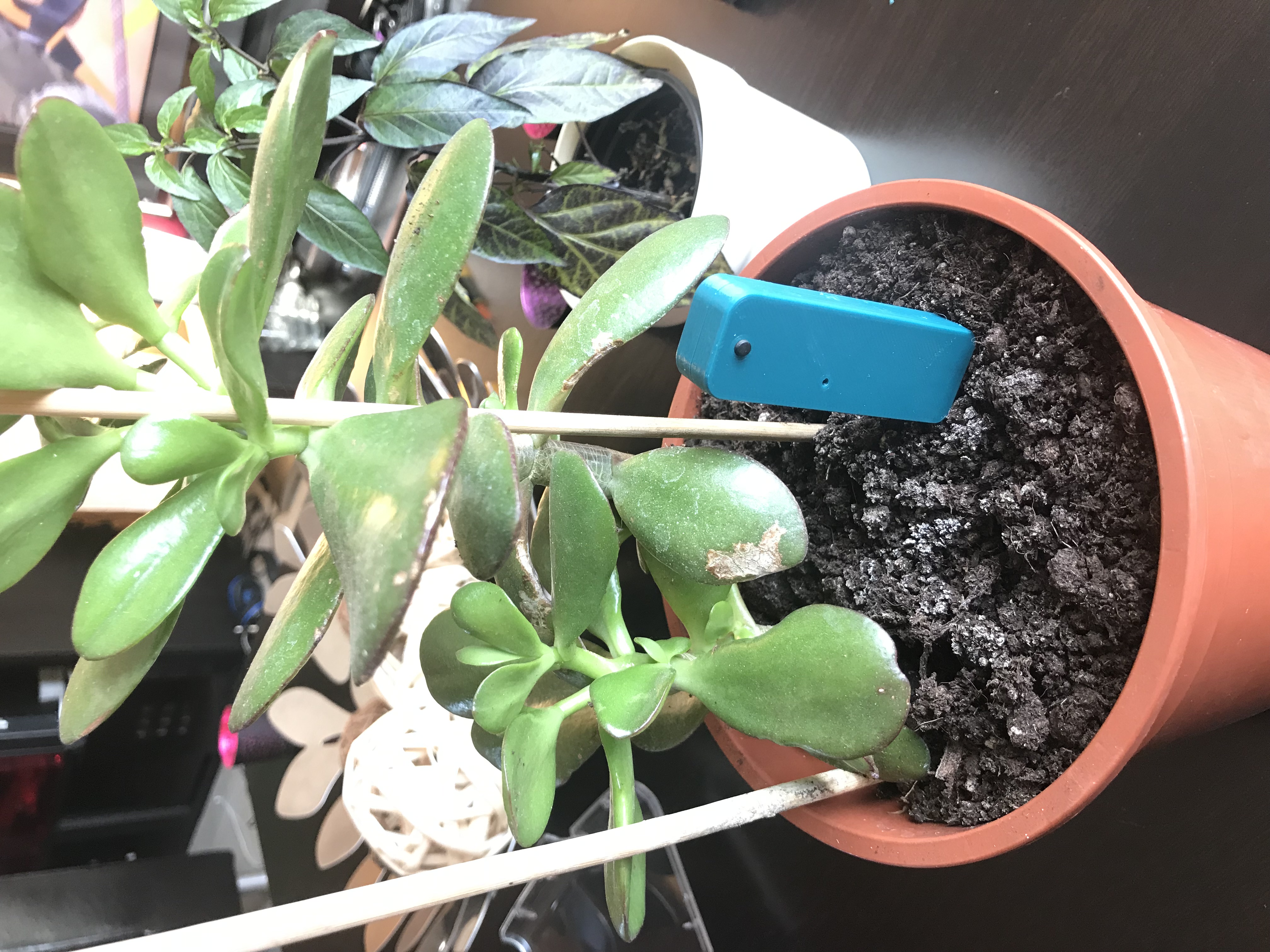 Plant watering Alarm - Humidity Sensor