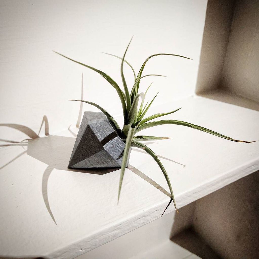 Diamond Air Plant Pot