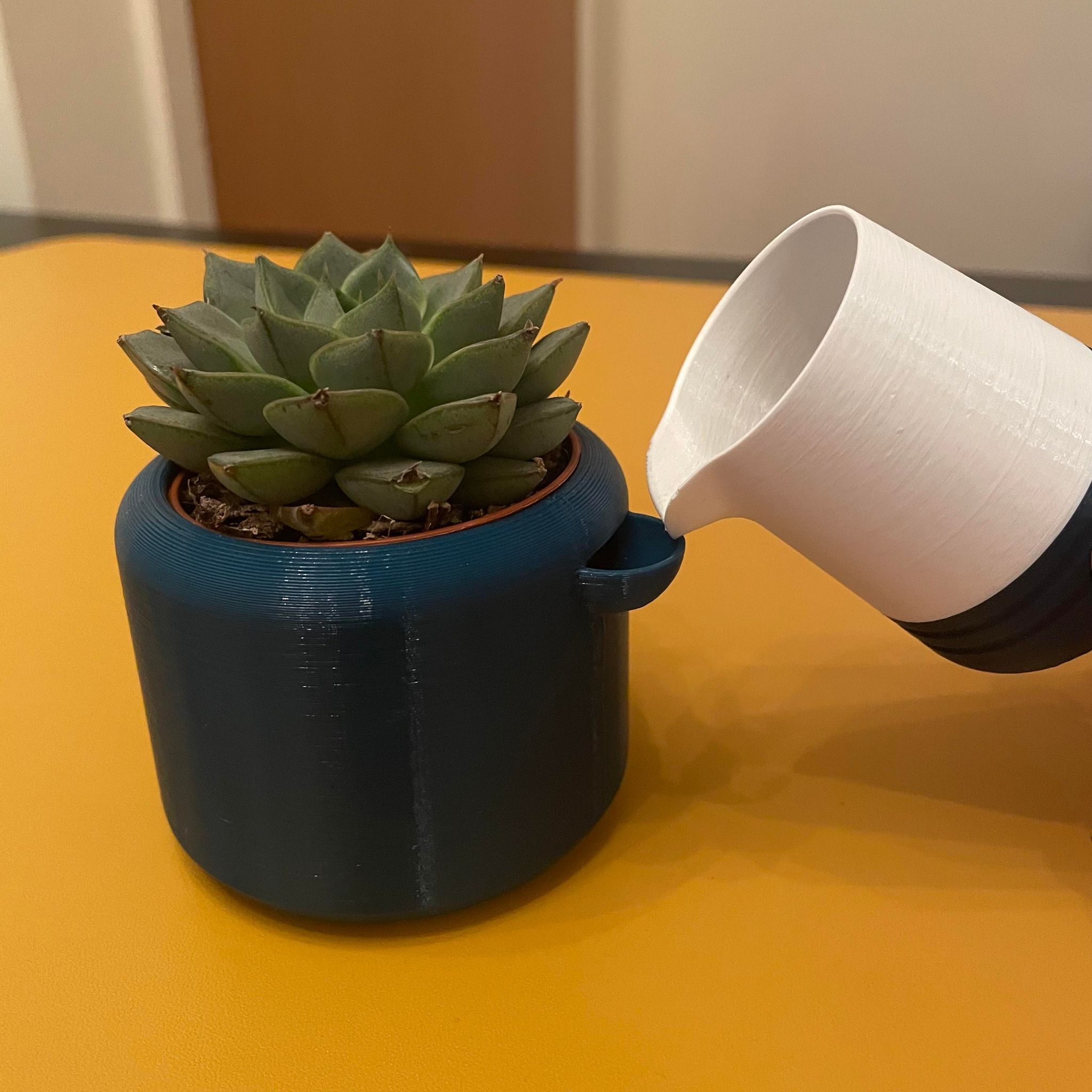 Cute Desk Watering Can