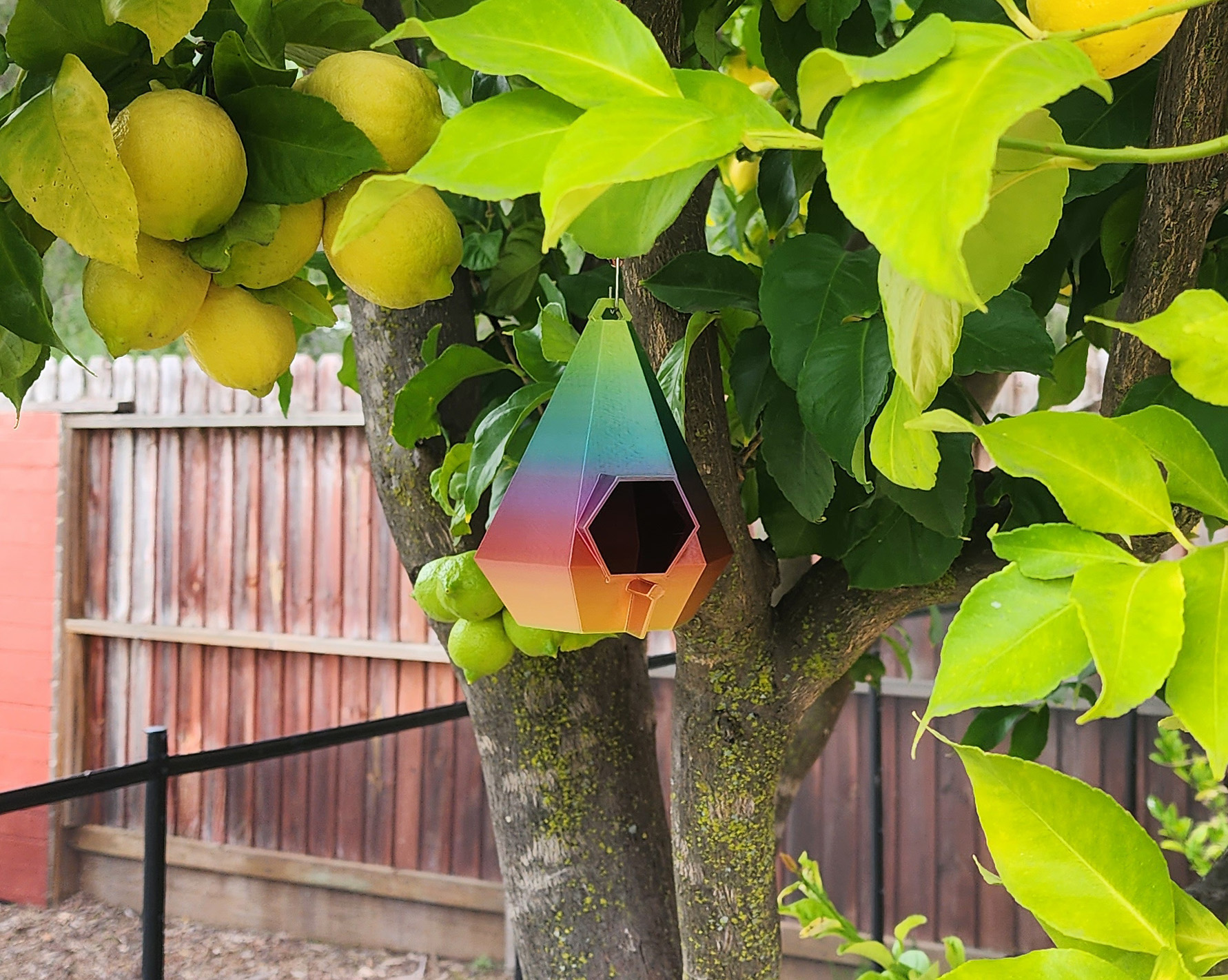 Hanging Hex Birdhouse - 1 piece, w/perch + awning by Triple G Workshop ...