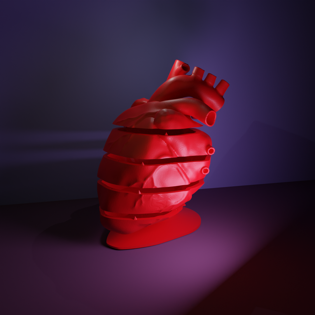 Anatomical heart jewelry box with stand