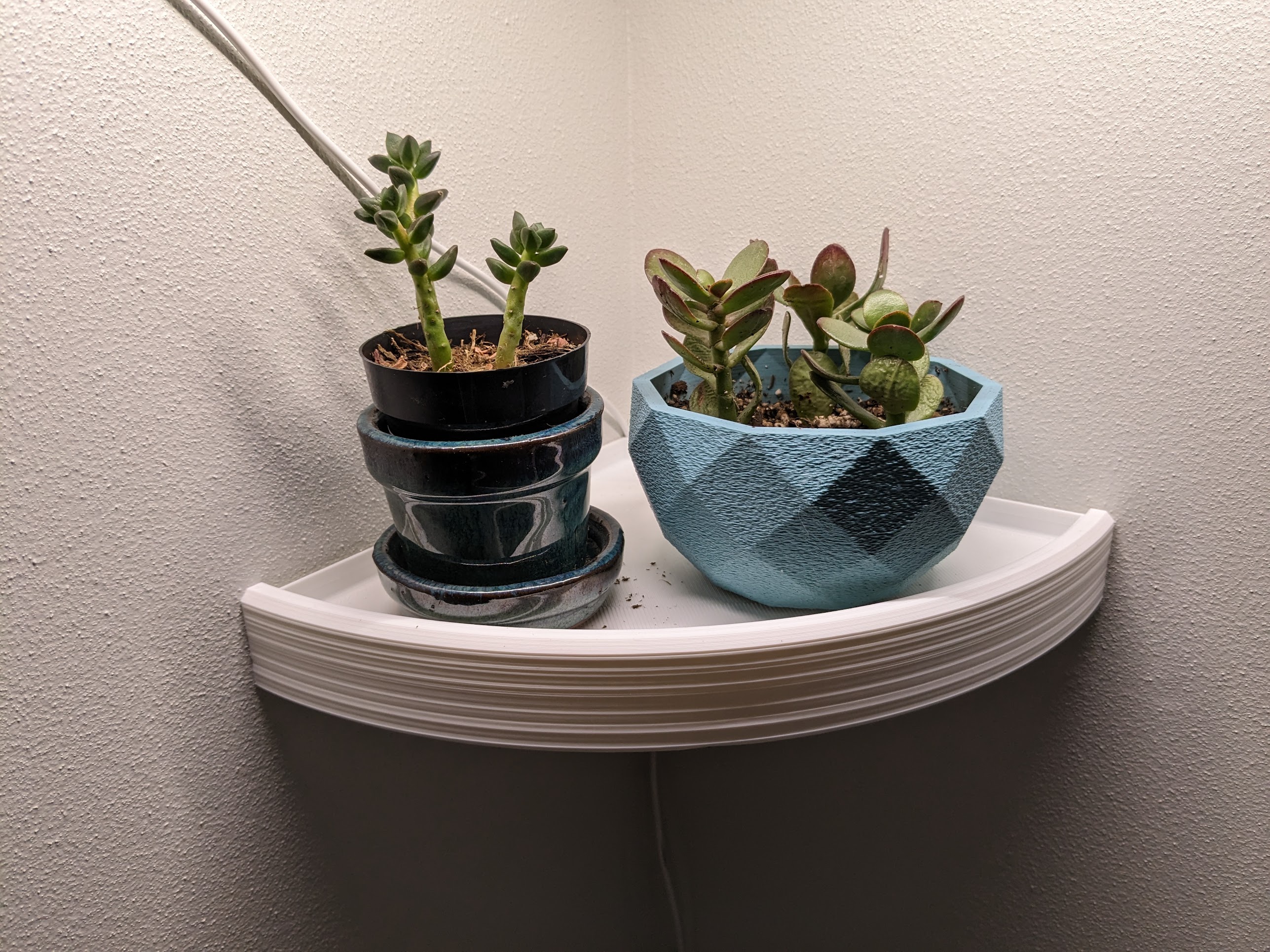 Geometric Succulent Planters — miniatura 2