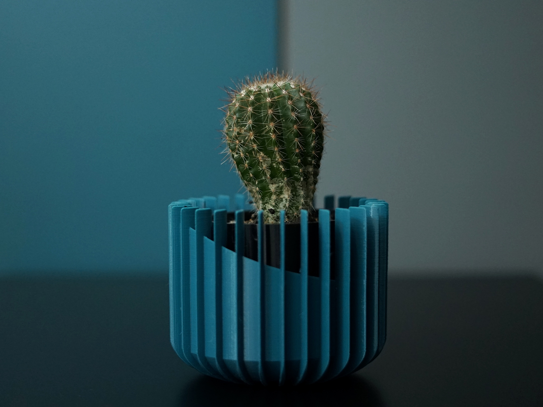 Self-watering plant pot