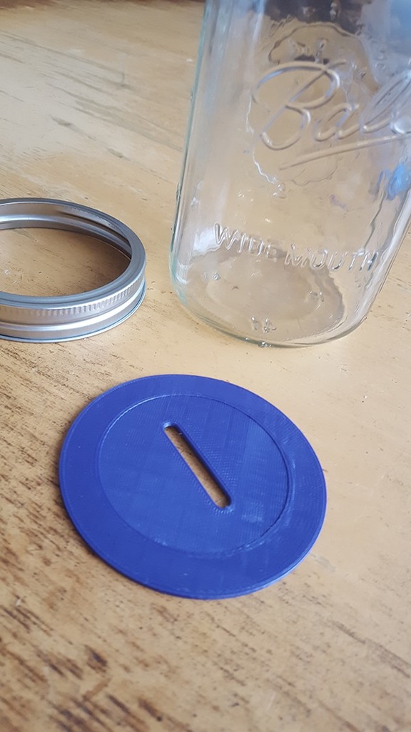 Mason Jar Slotted Lid Insert