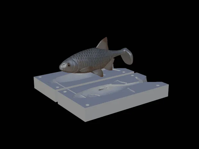 AM bait common rudd / bream fish 13cm hoof form for predator fishing