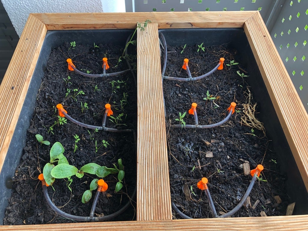 Miniatura 3 do modelo 3D Raised Bed Sprinkler