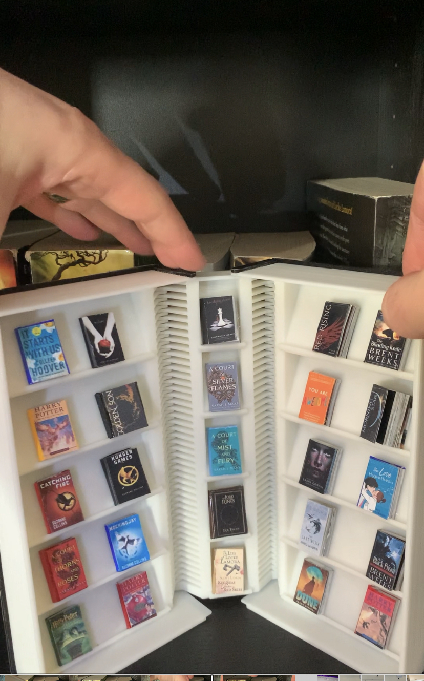 Booknook Hidden Mini Book Case