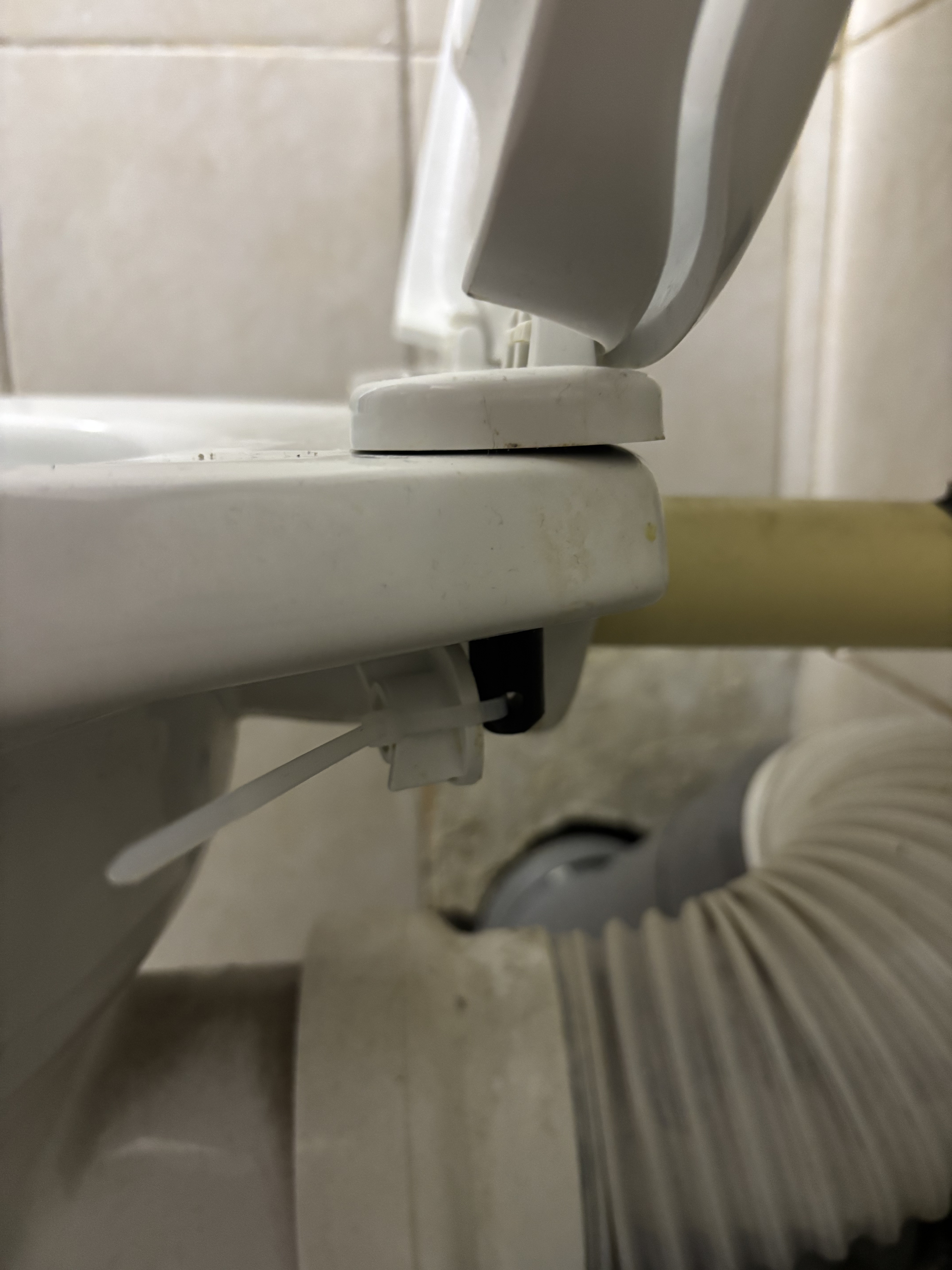 Toilet Insert