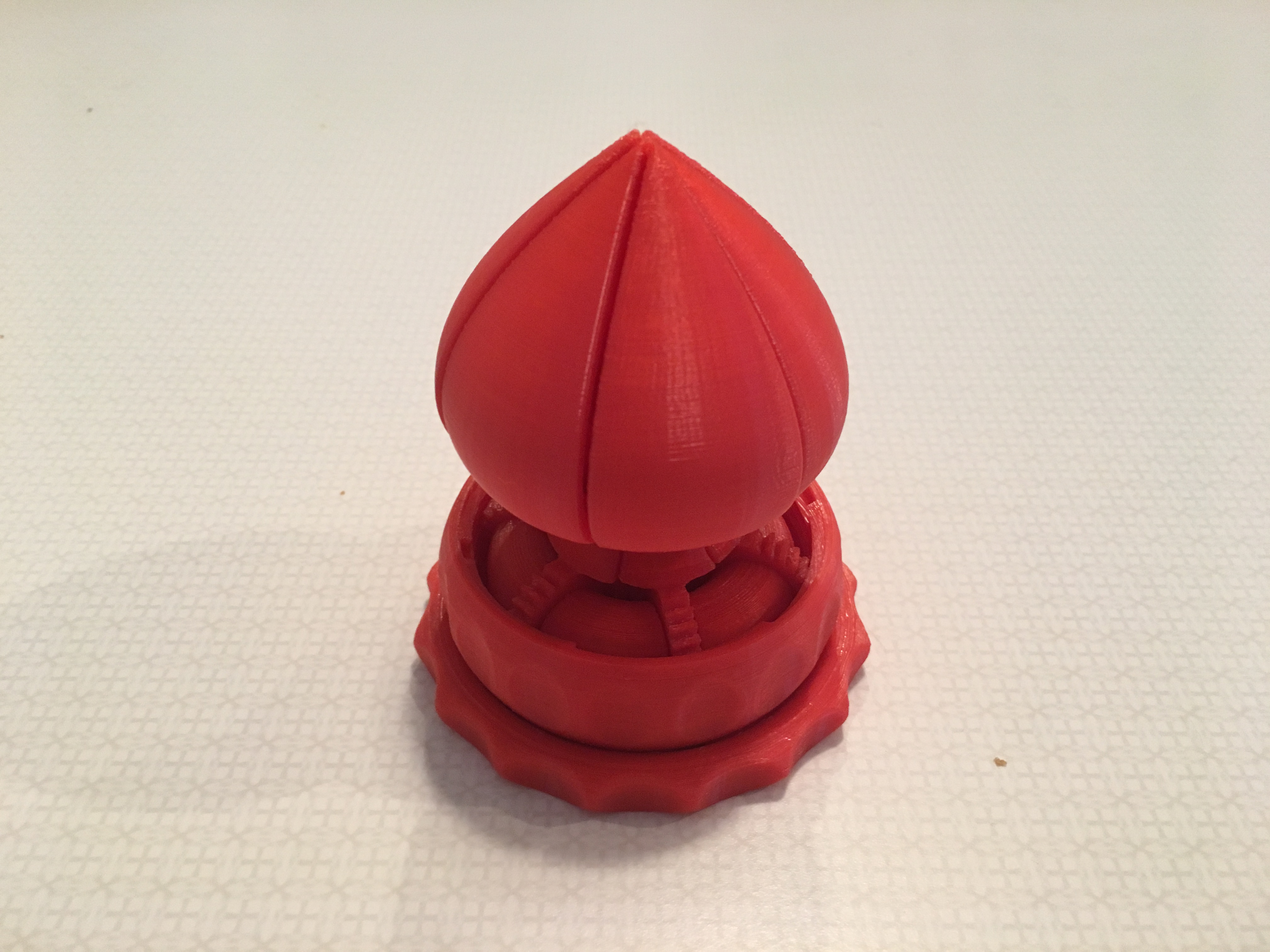 Valentines Day Blooming Flower Gift Box by Idea Prints Download free