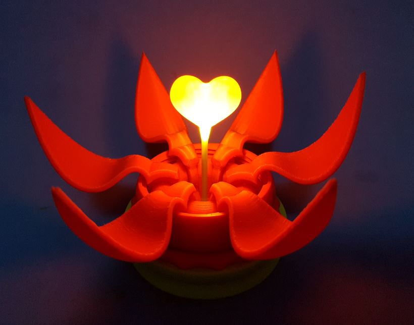 Valentines Day Blooming Flower Gift Box