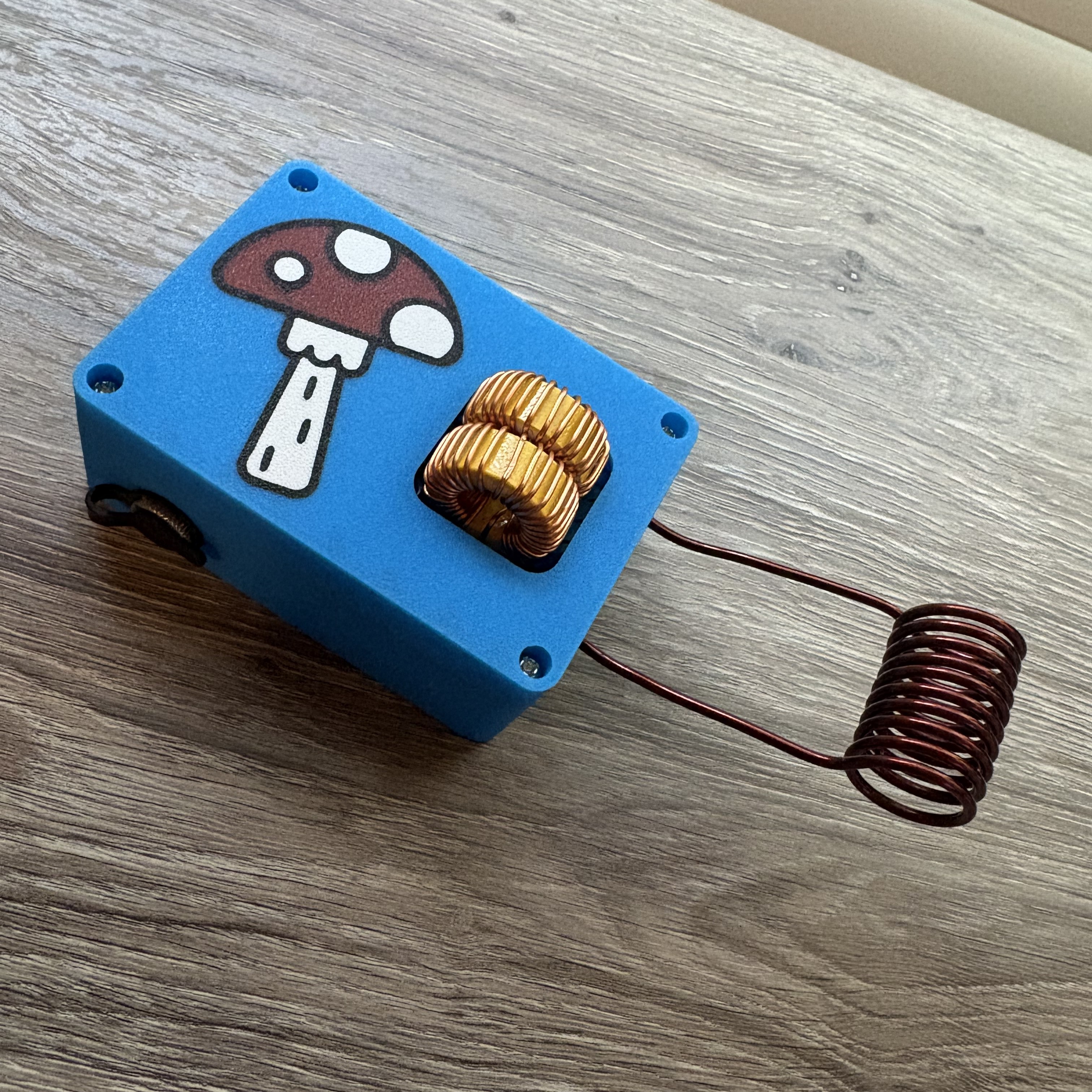 Induction Coil/Heater Sterilizer (No Soldering required)