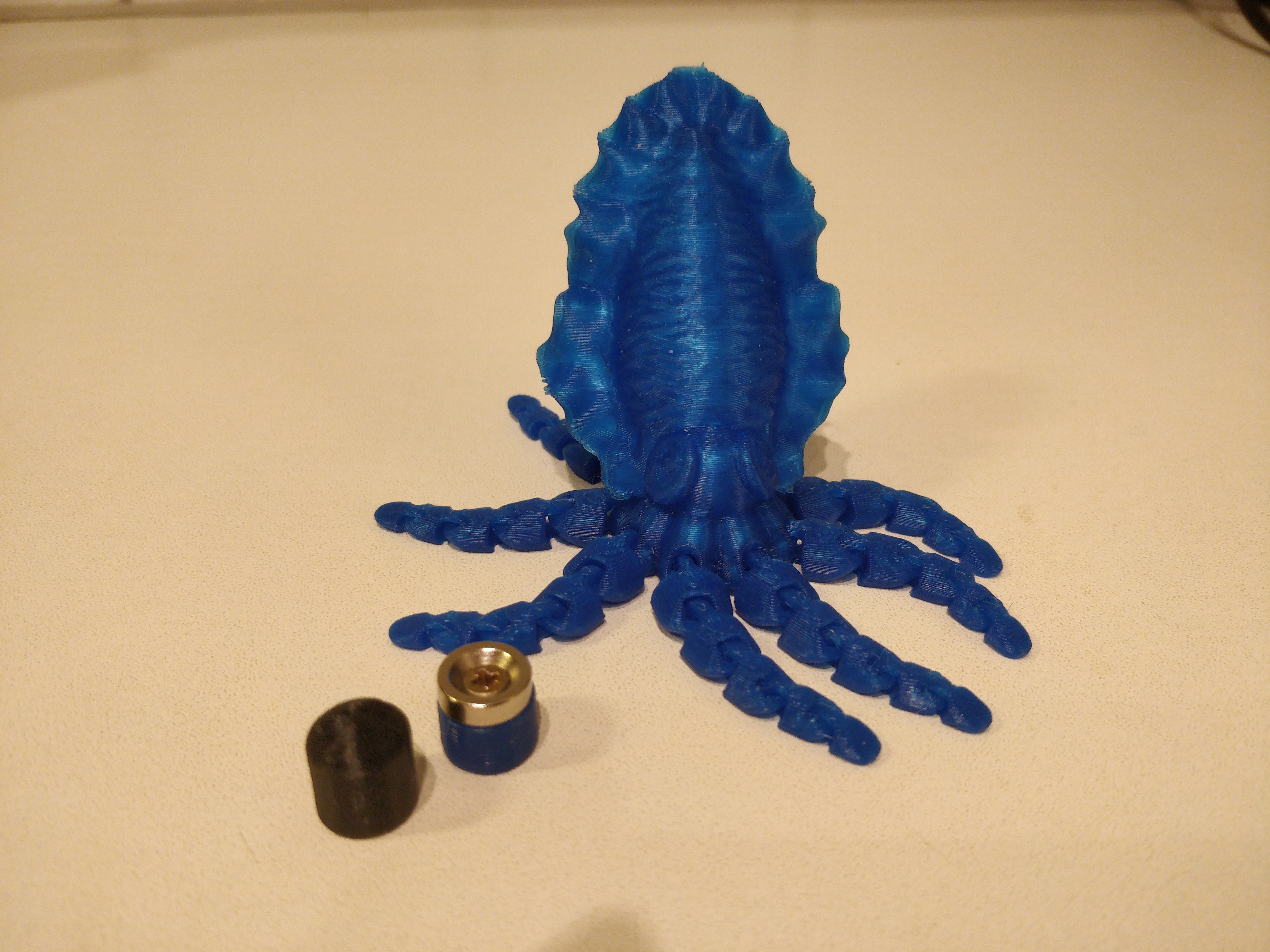 Insert for Articulated Cuttlefish