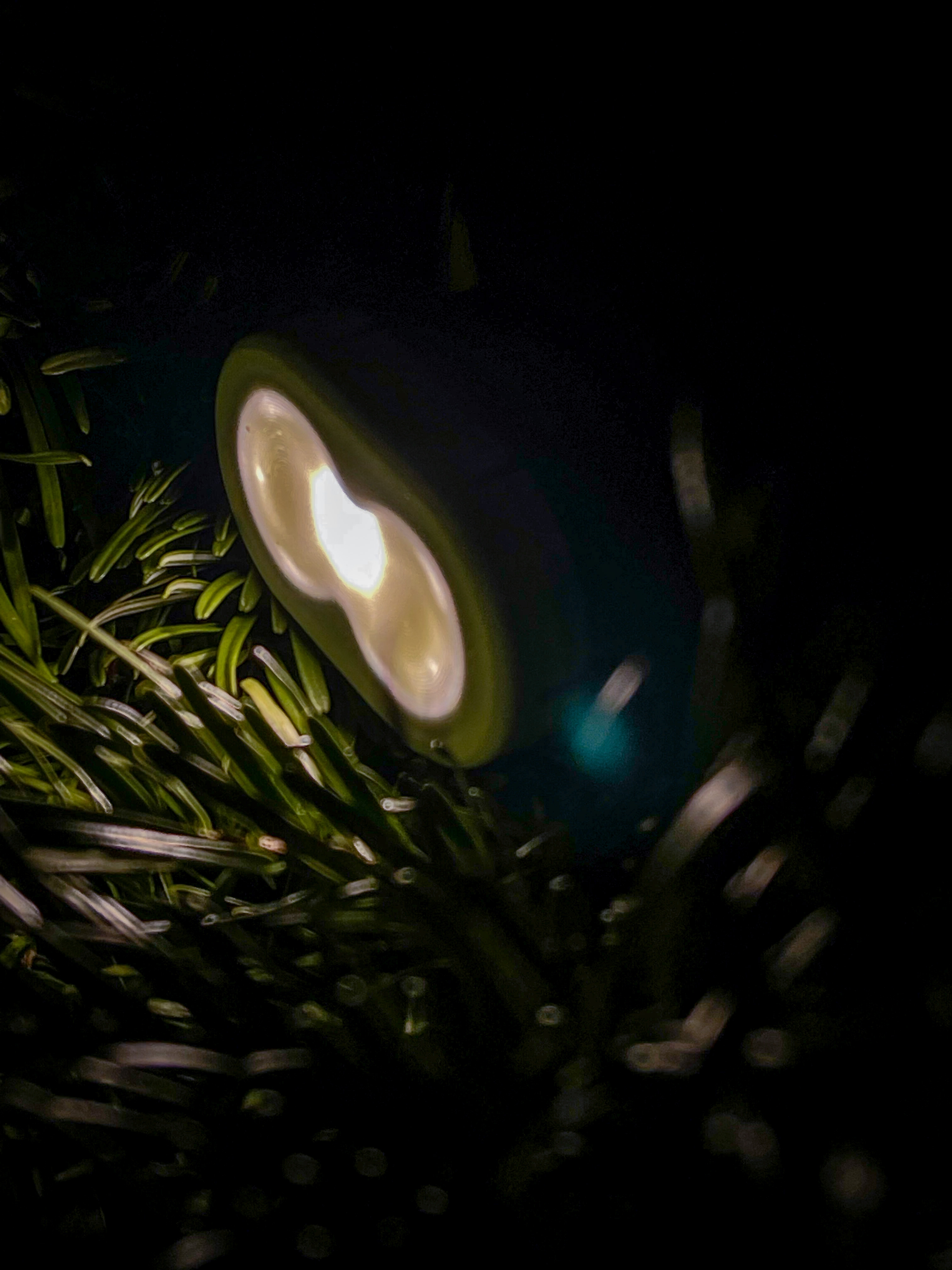 Lupine Piko R Diffuser — miniatura 2