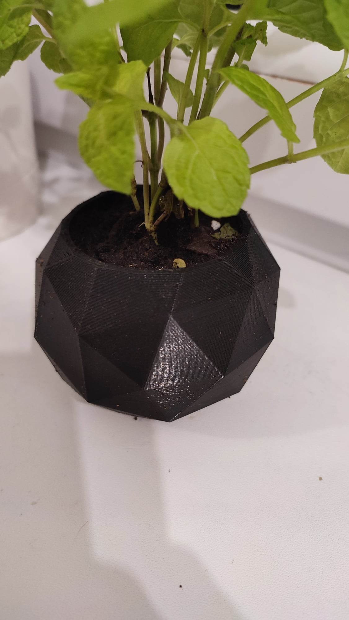 flowerpot for small plants like herbs
