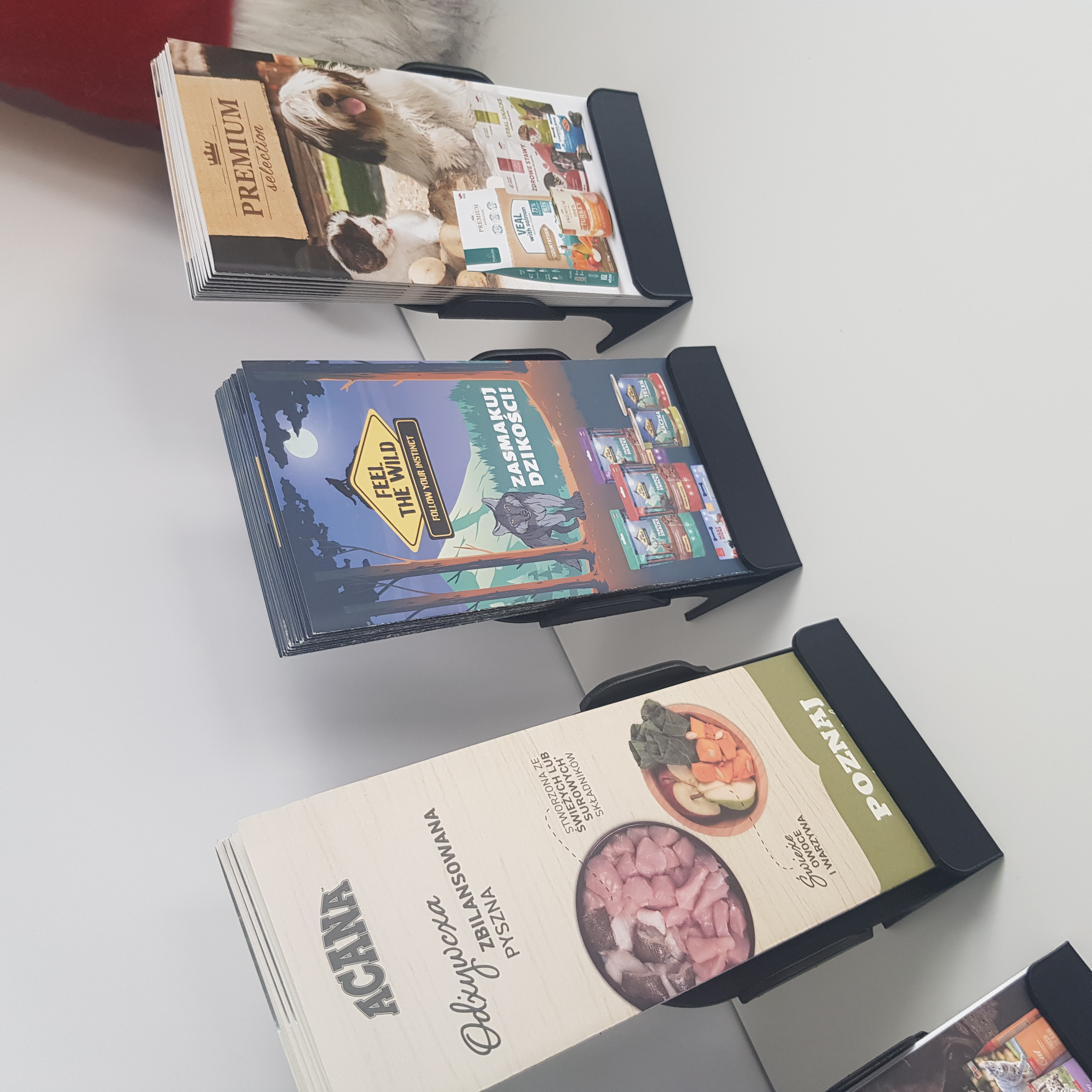 Miniatura 3 do modelo 3D Flyer stand DL format