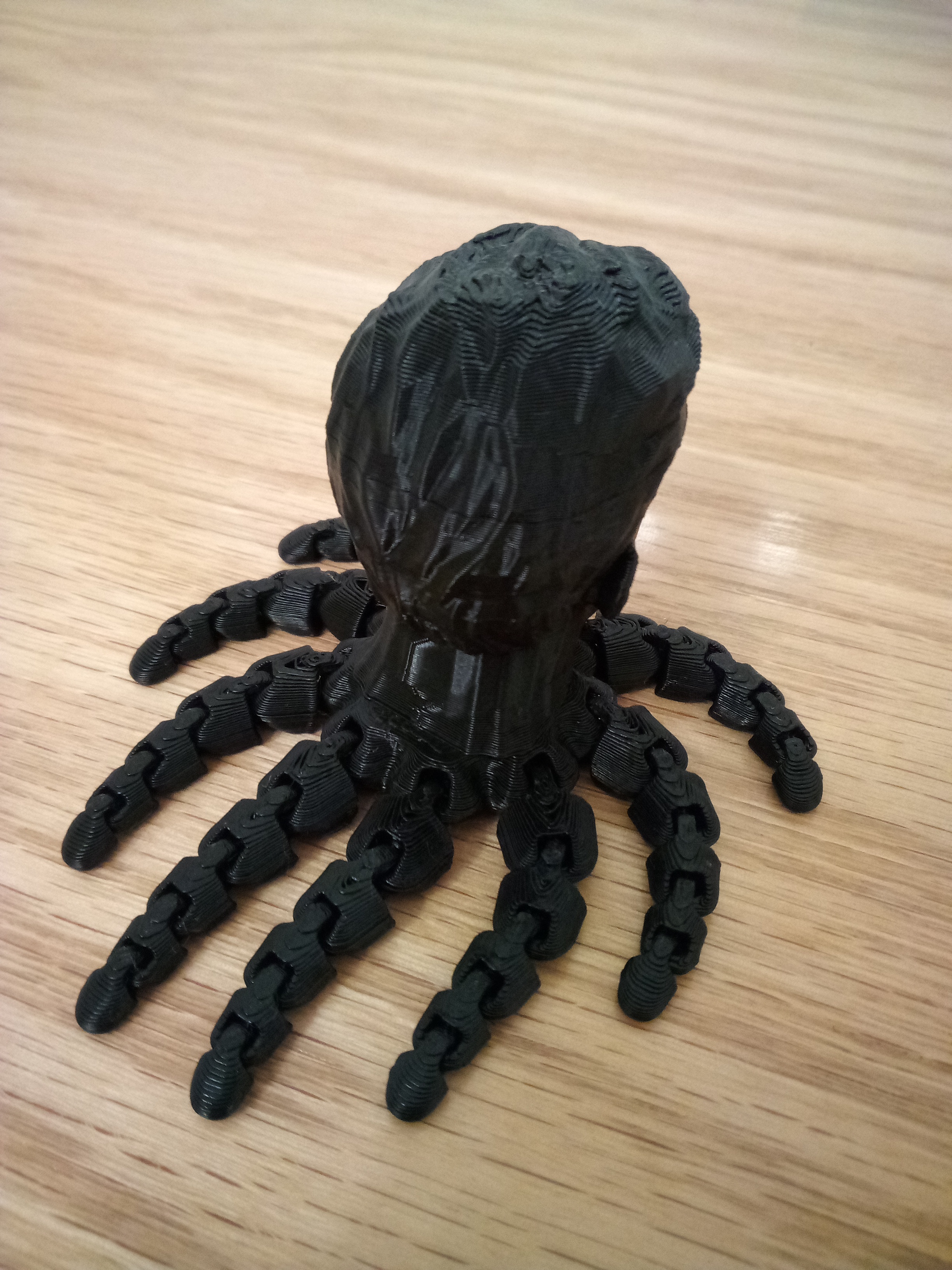 spidey-pus — miniatura 2