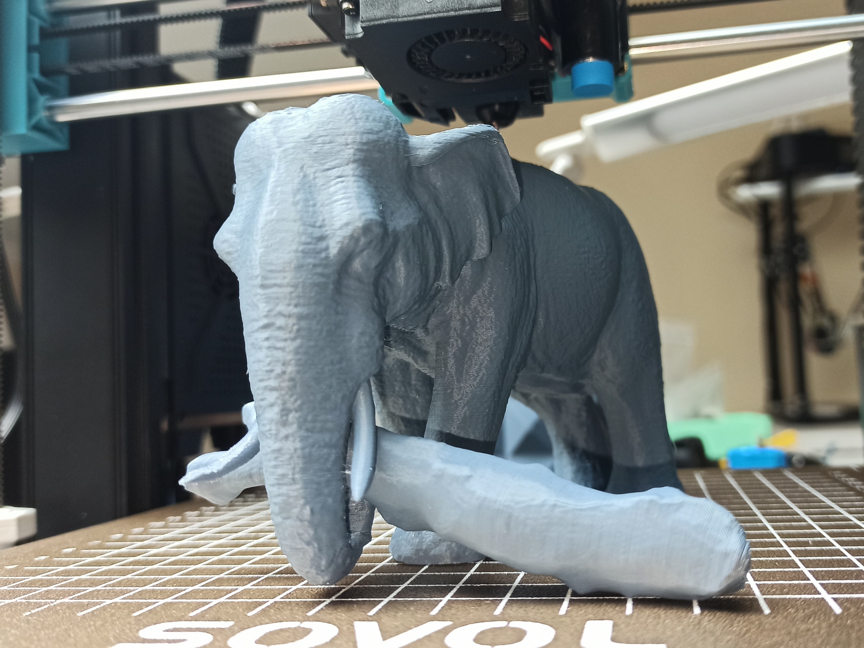 Miniatura 7 do modelo 3D Elephant