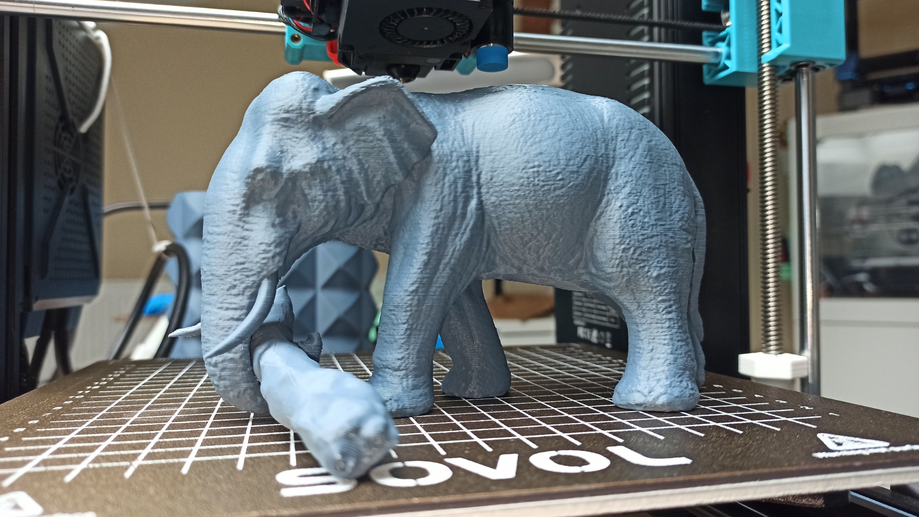 Miniatura 6 do modelo 3D Elephant