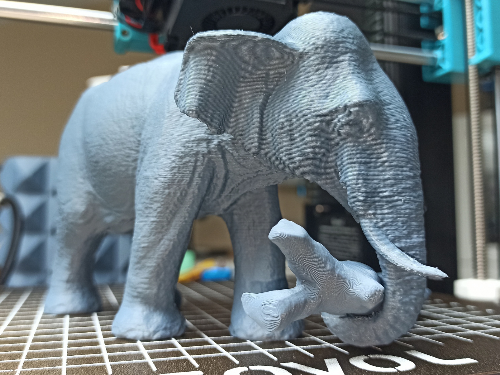 Elephant by ZiRo 3D | Download free STL model | Printables.com