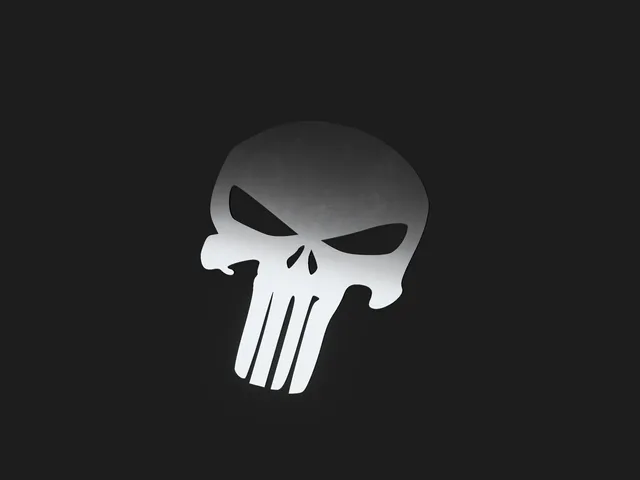 The Punisher Skull Logo