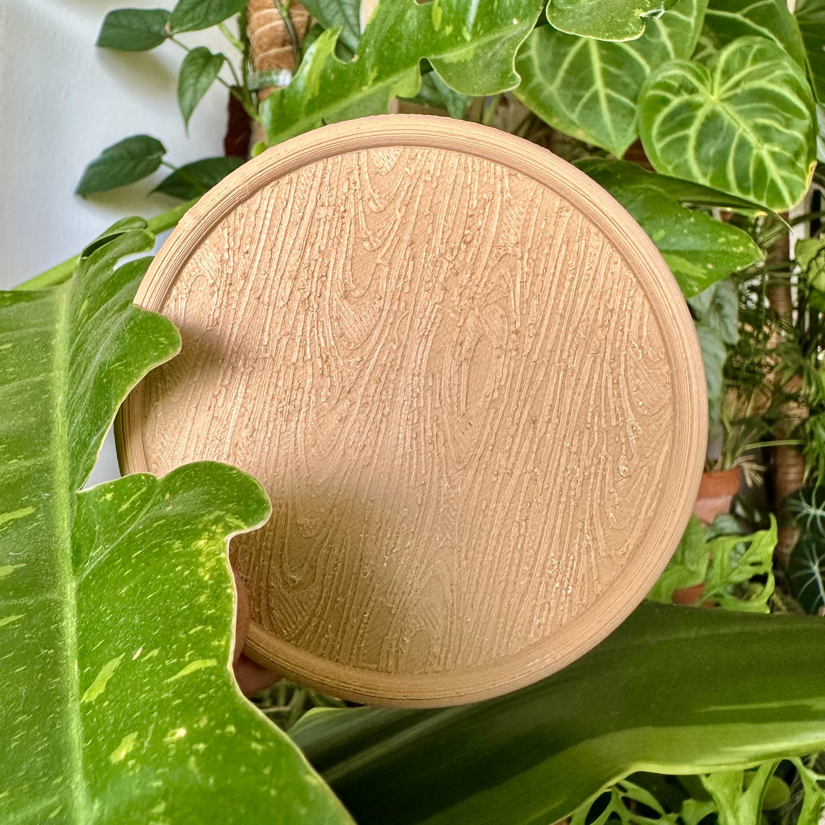 Wood Textured Coaster