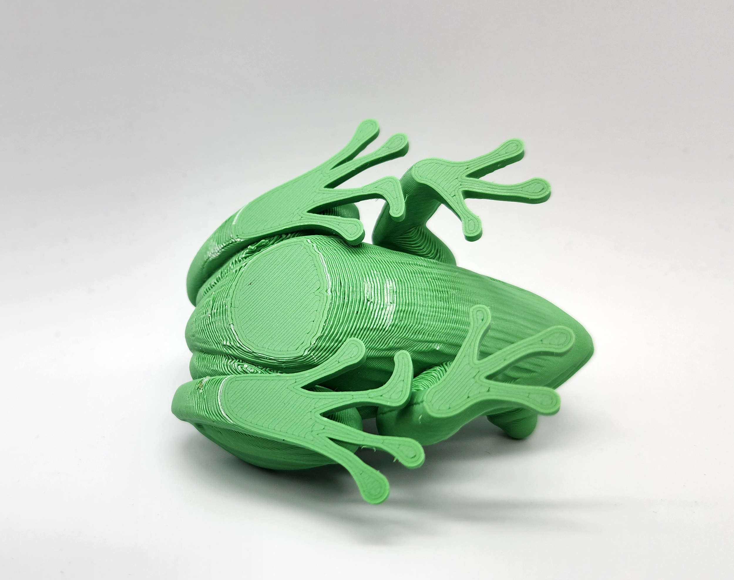 Miniatura 7 do modelo 3D Realistic Frog
