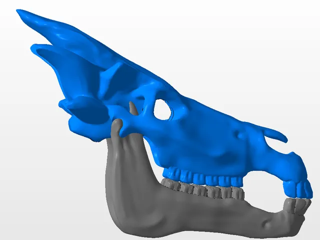 Skull of Arvak from Skyrim