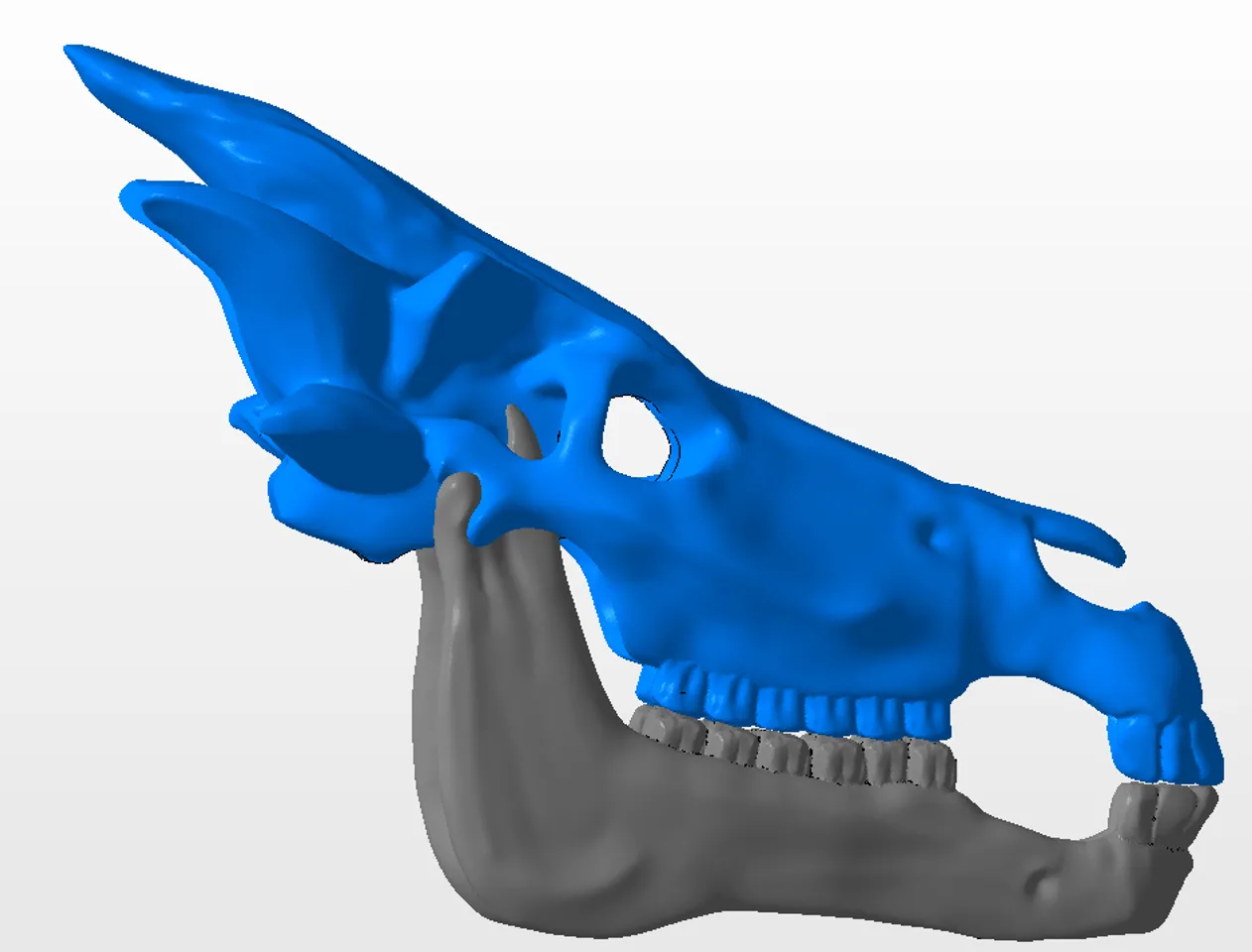 Troll Face Skull 3D printable 3D model 3D printable