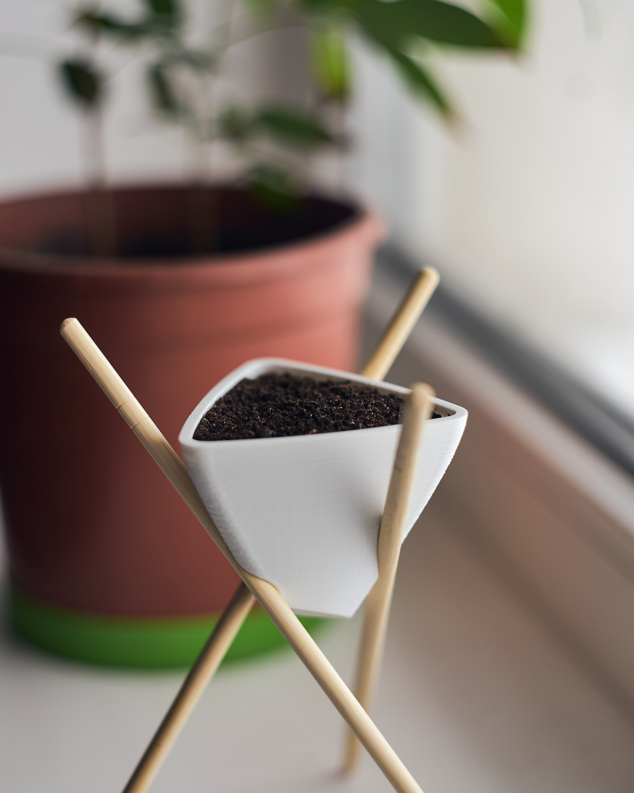 Triangular on chopsticks — miniatura 3