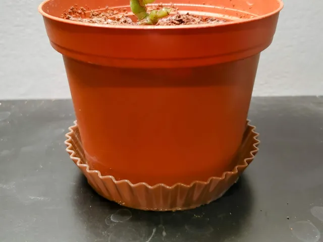 Reeses pot tray/coaster