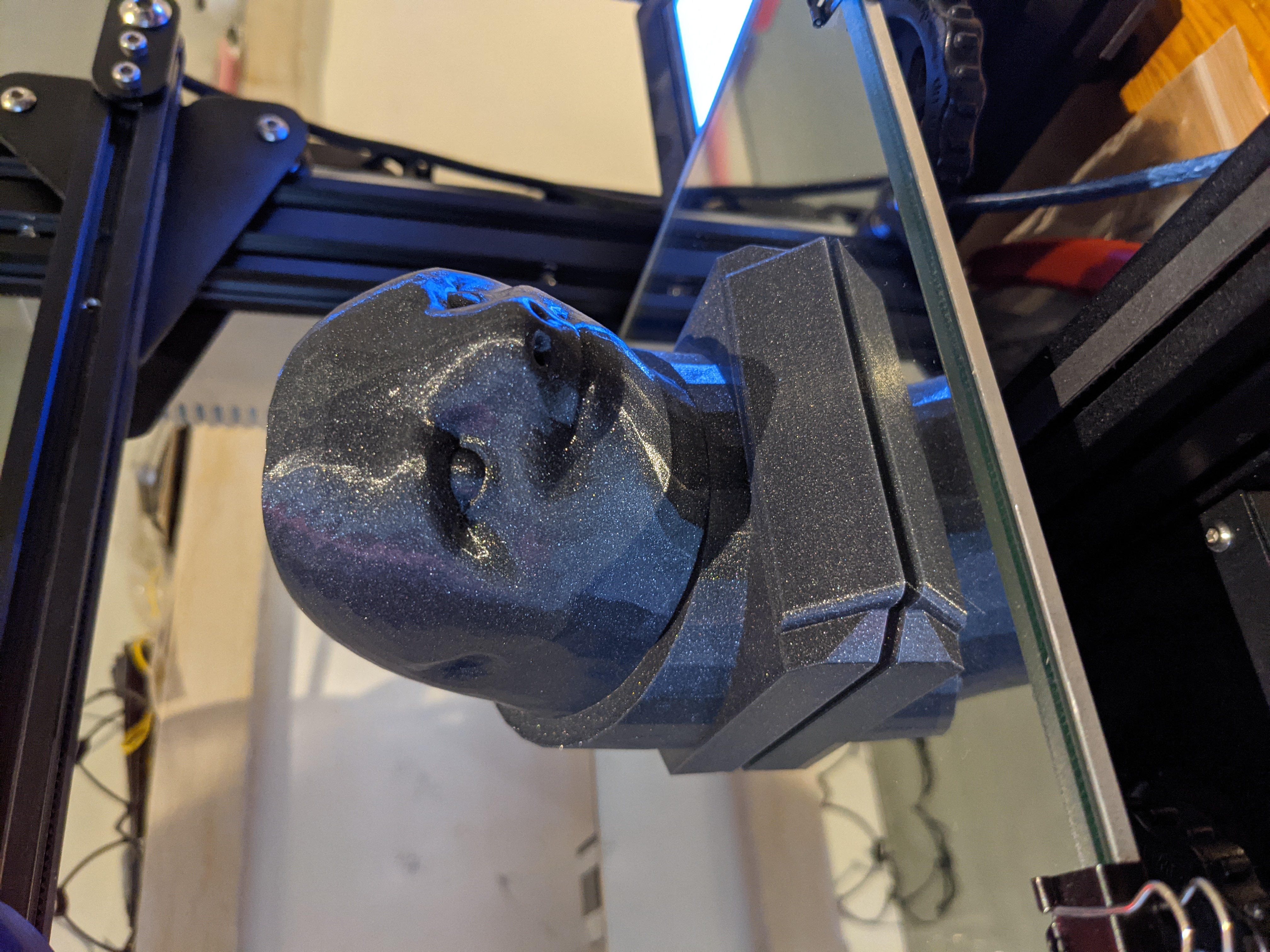 Sloth Trophy