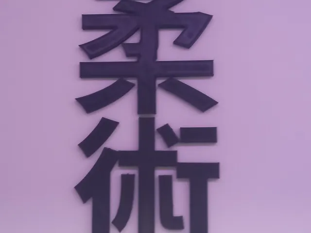 Jiu-Jitsu wall sign