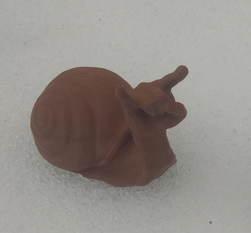 RockSnail