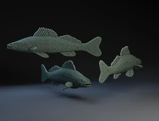 Cartoon Walleye by Peter Farell | Download free STL model | Printables.com