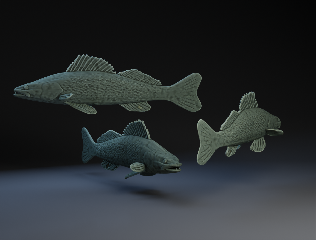 Walleye