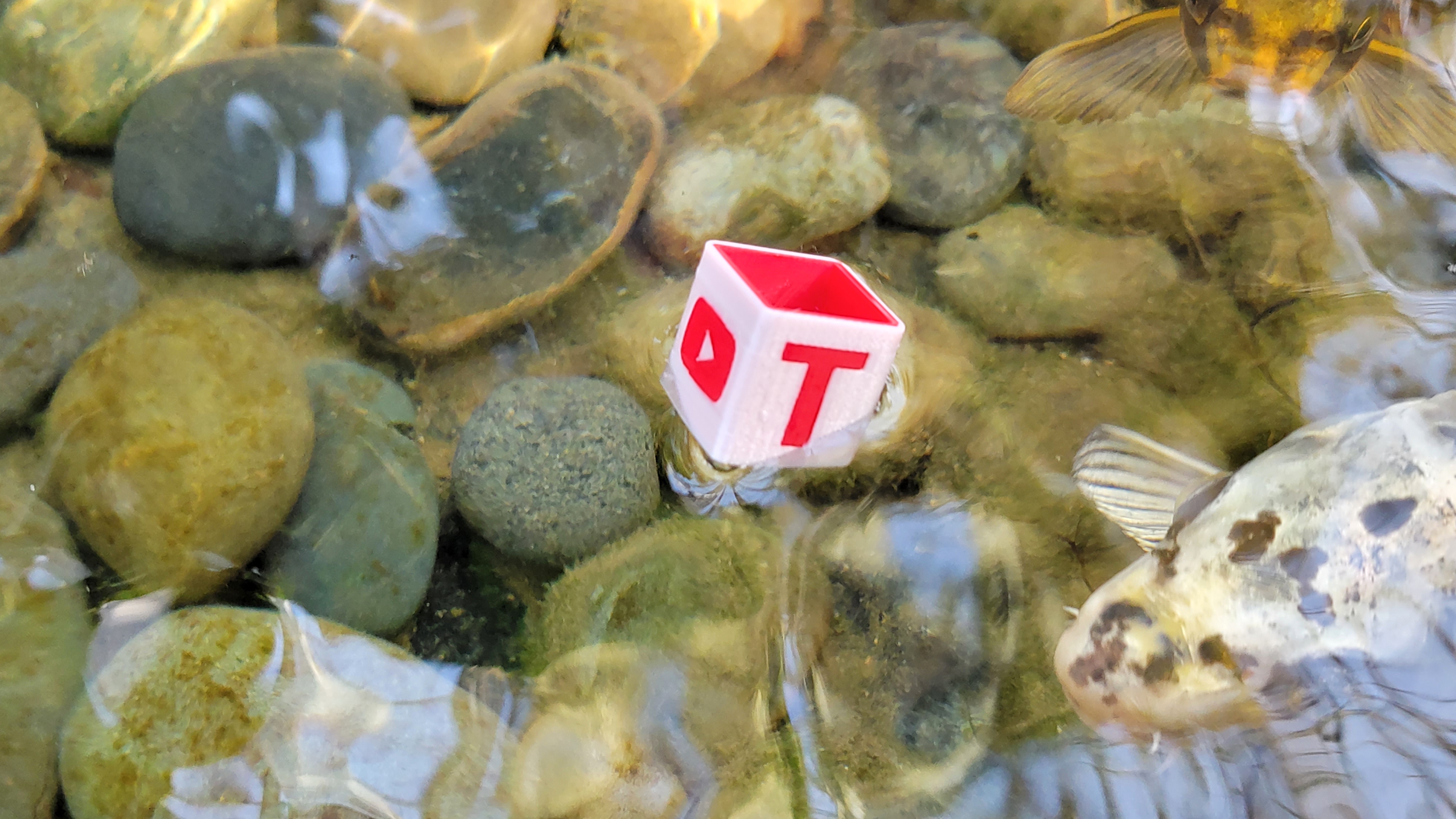 YouTube Cube Icon - IDEX Test Print