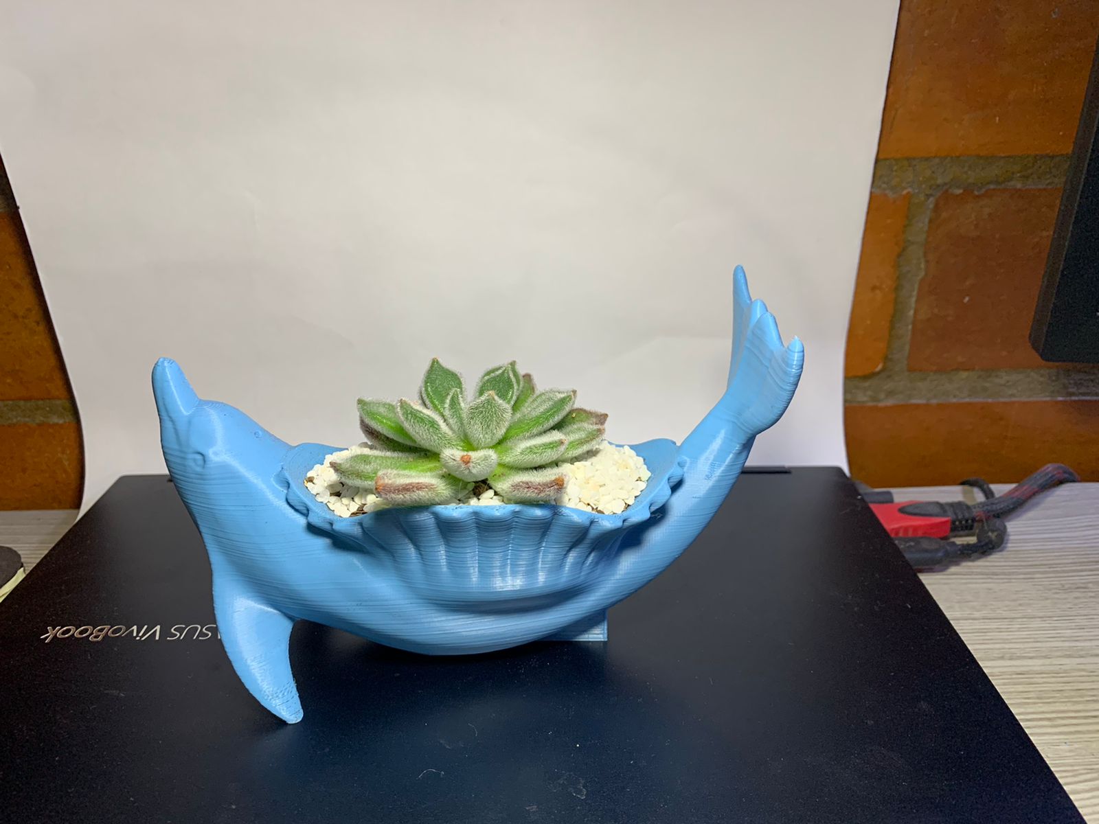 Miniatura 2 do modelo 3D Dolphin planter