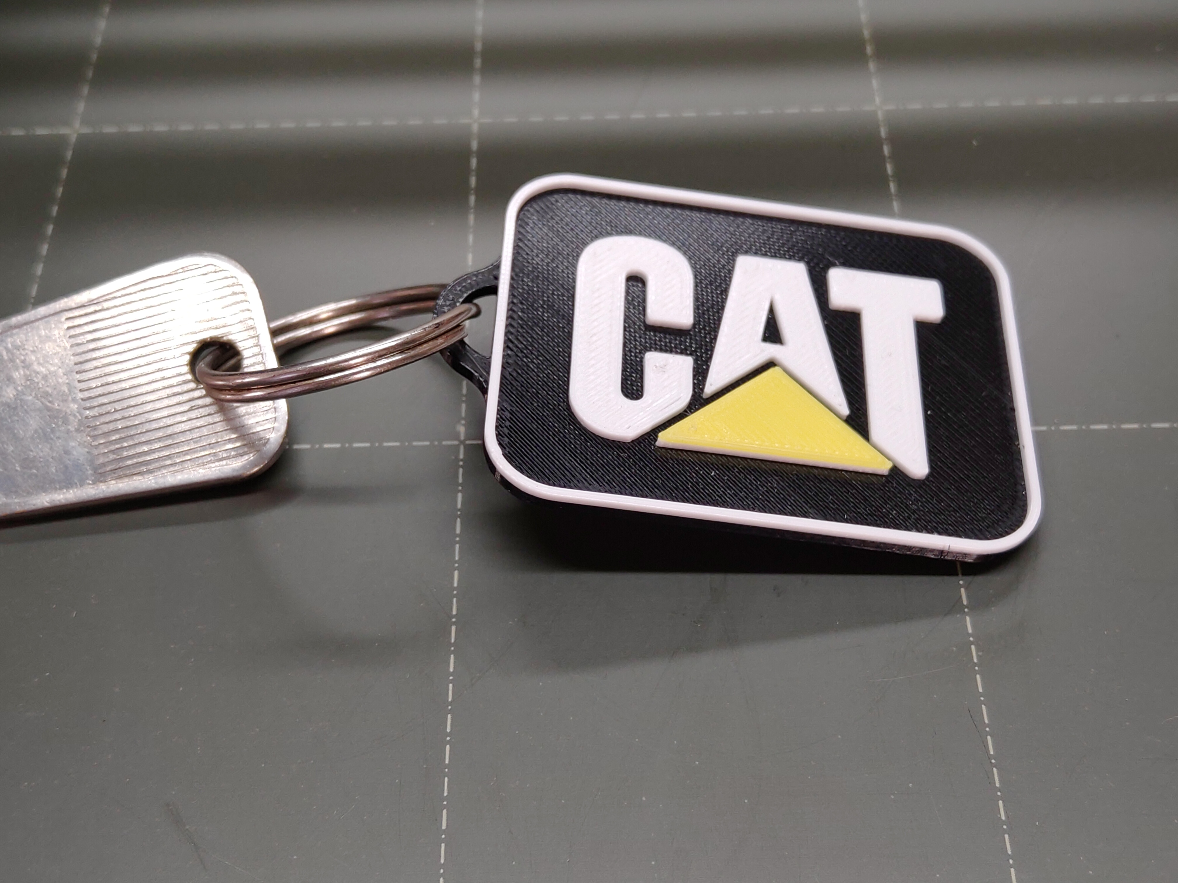 Caterpillar key chain