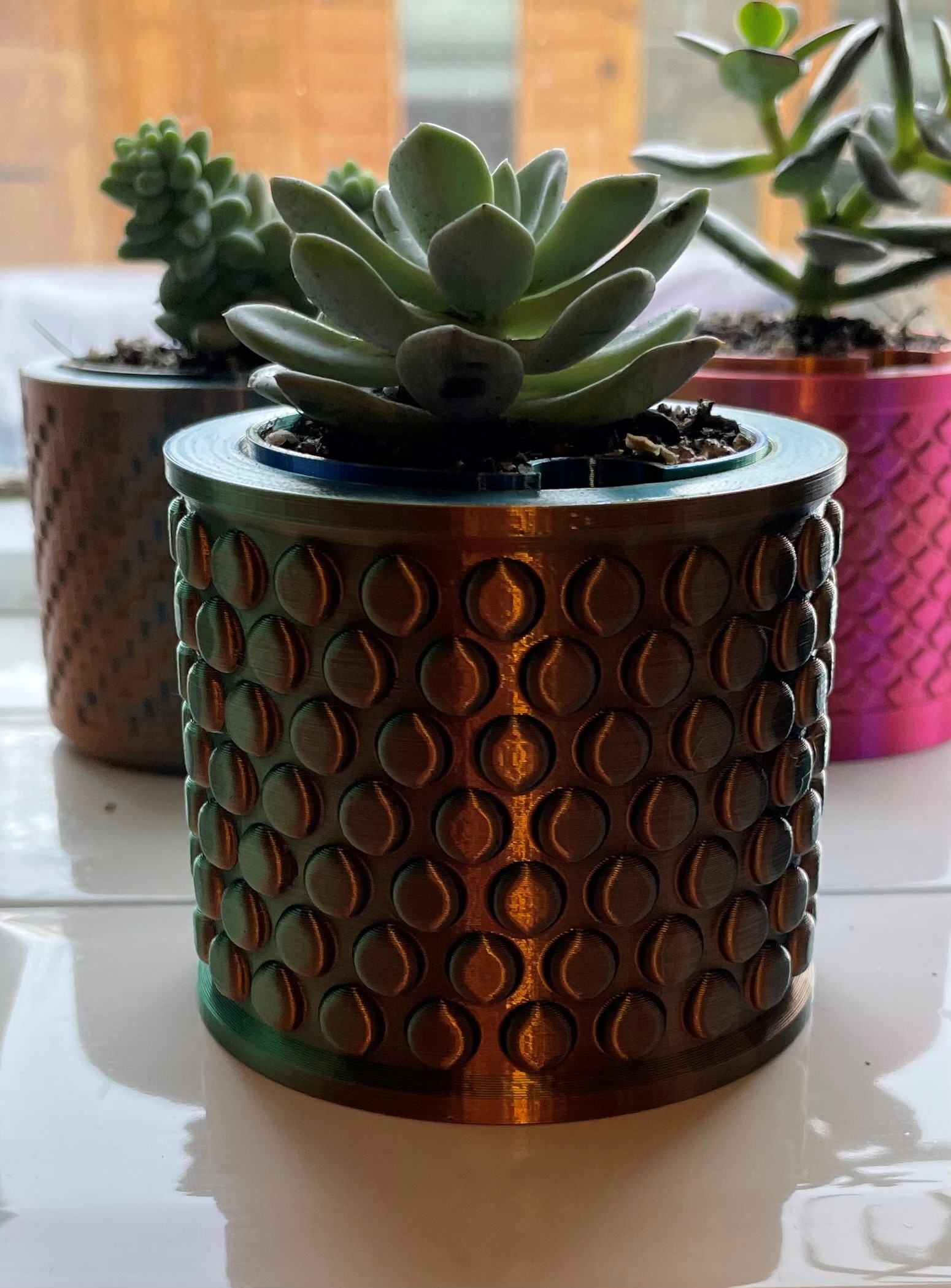 Self Watering Planters