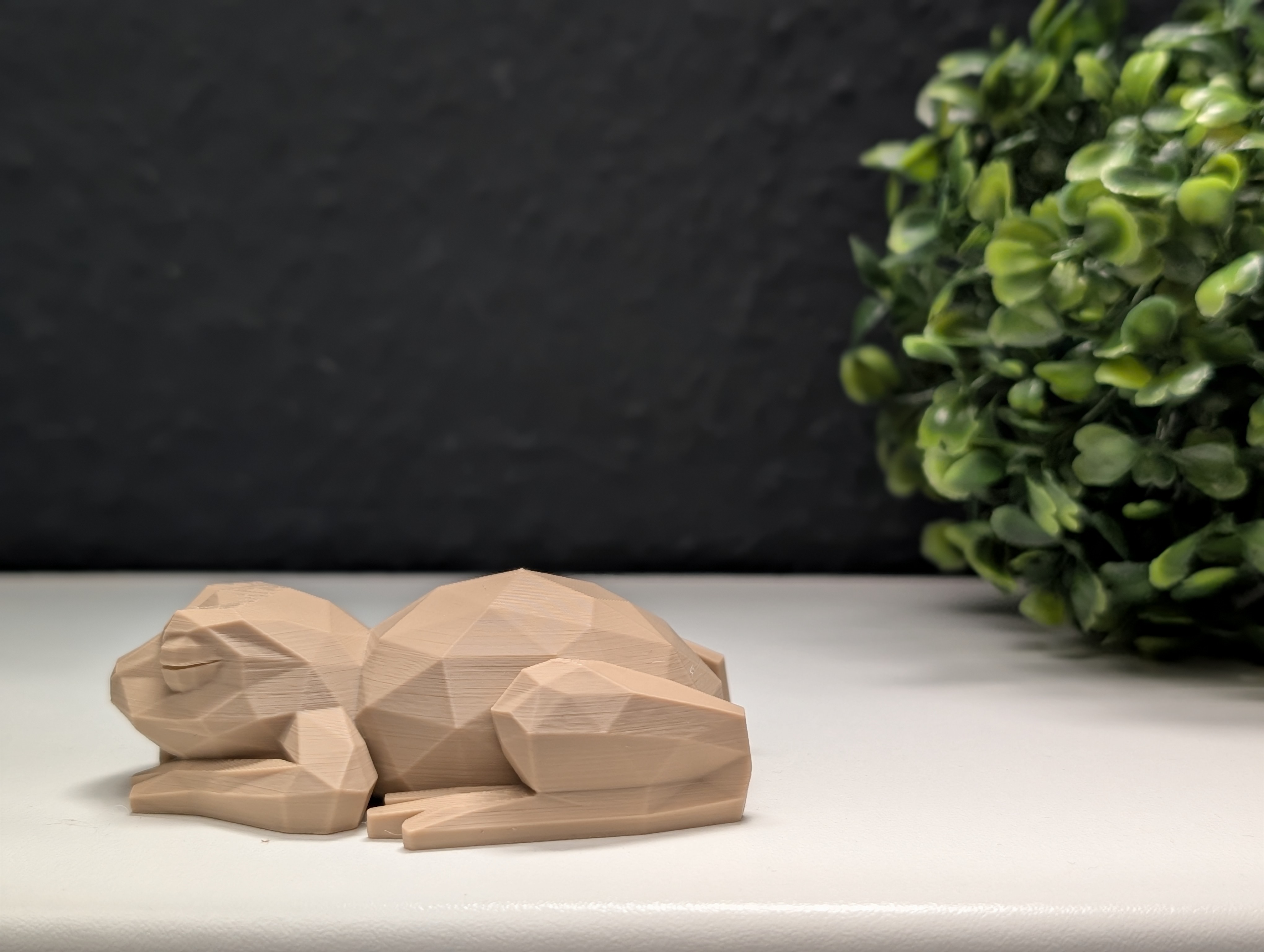 Miniatura 8 do modelo 3D Low Poly Sleeping Frog