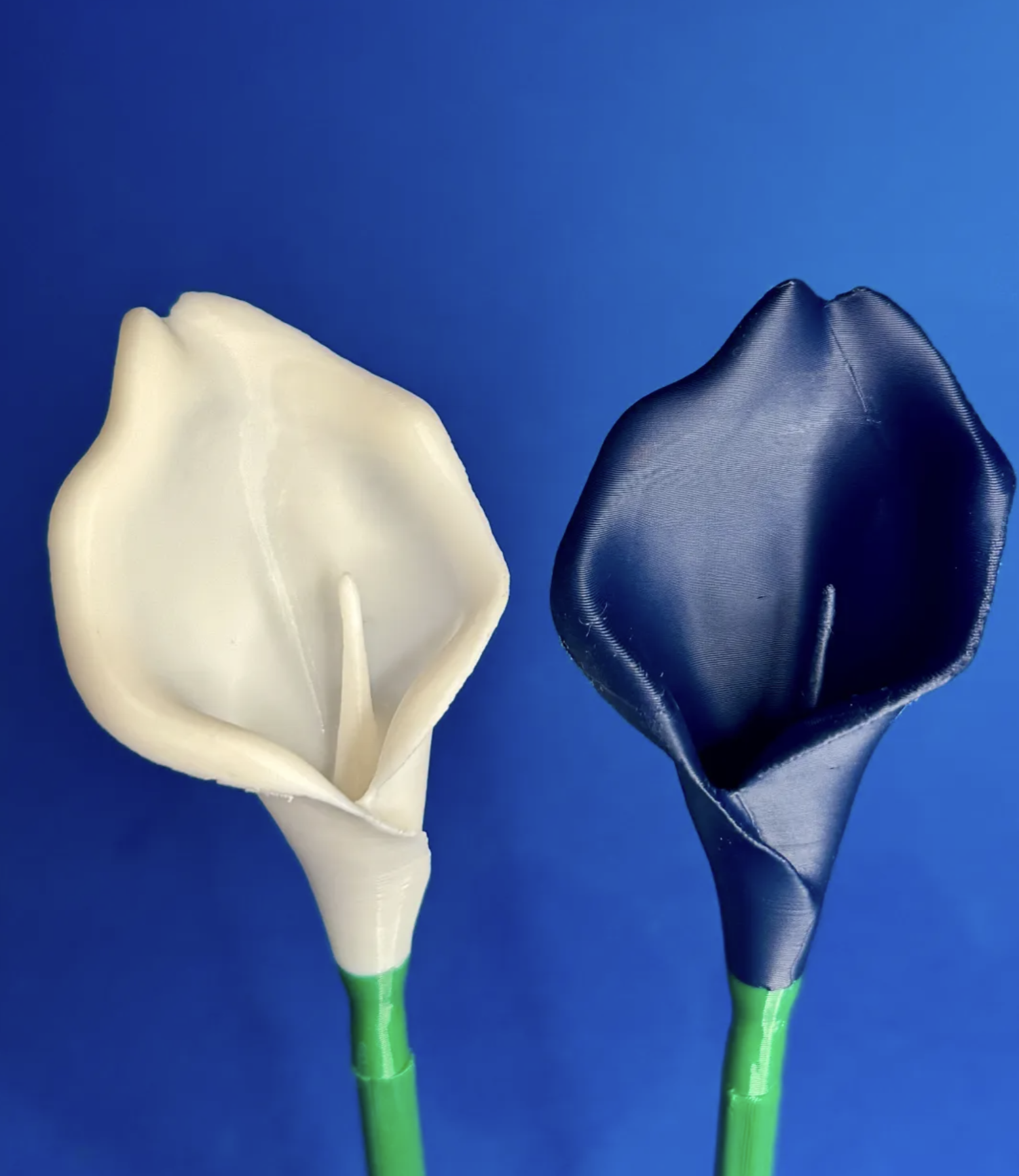 Flower Calla