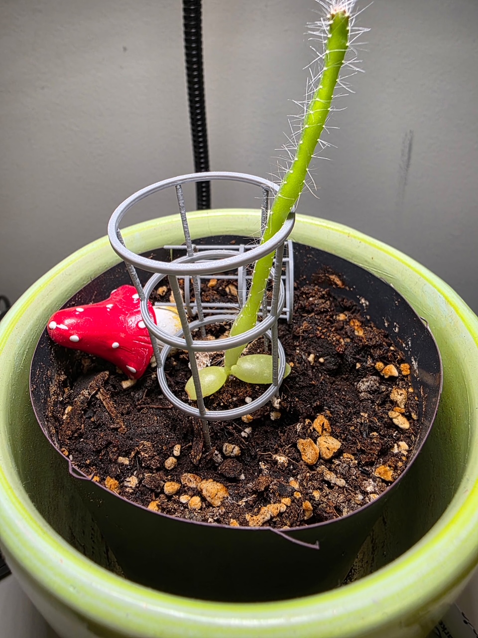 Micro Tomato Cage