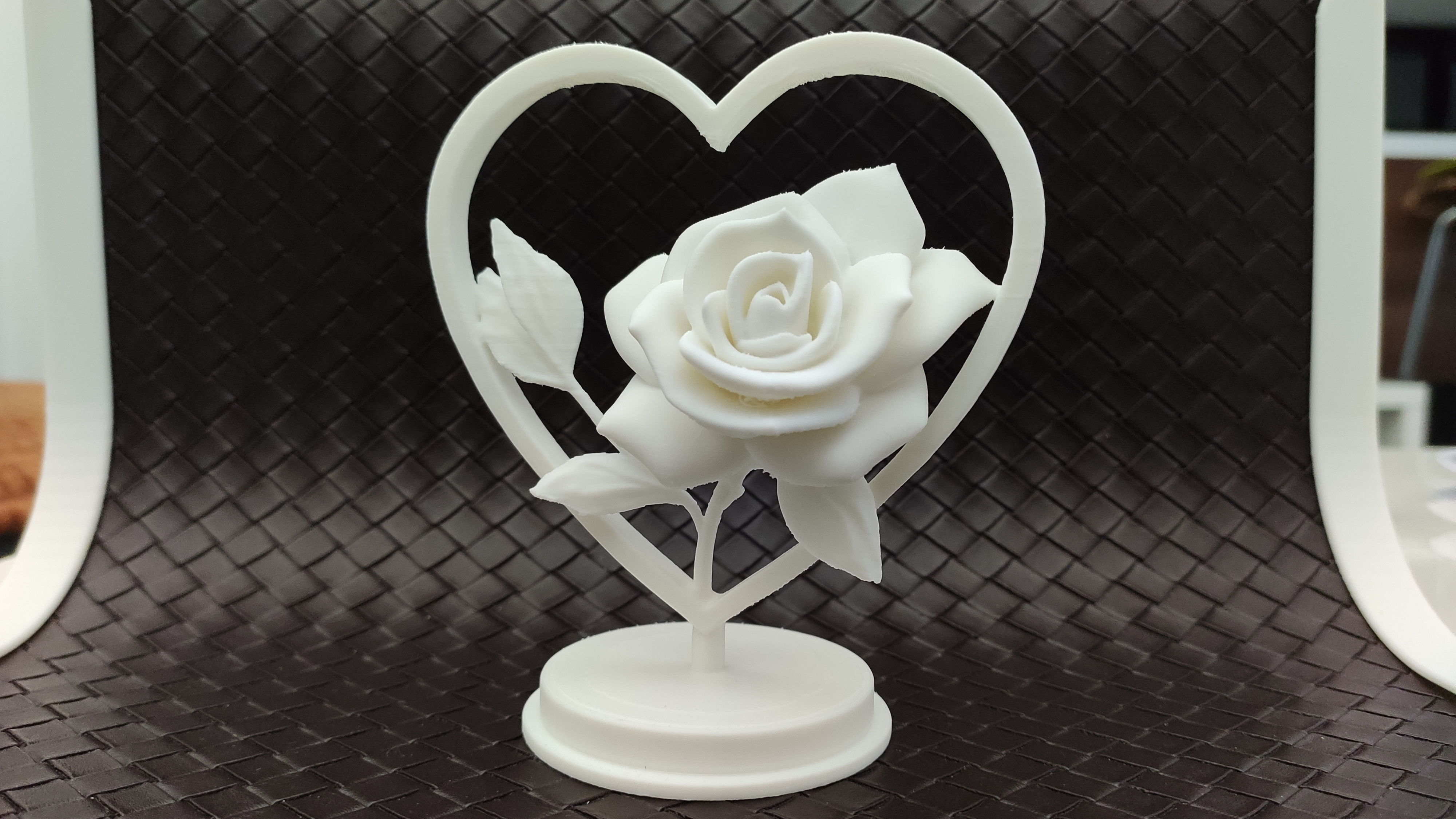 Rose in Heart