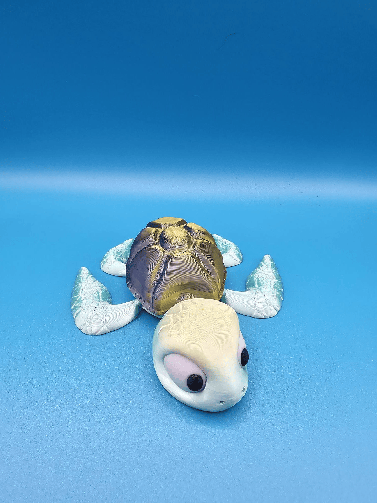 TORTUE