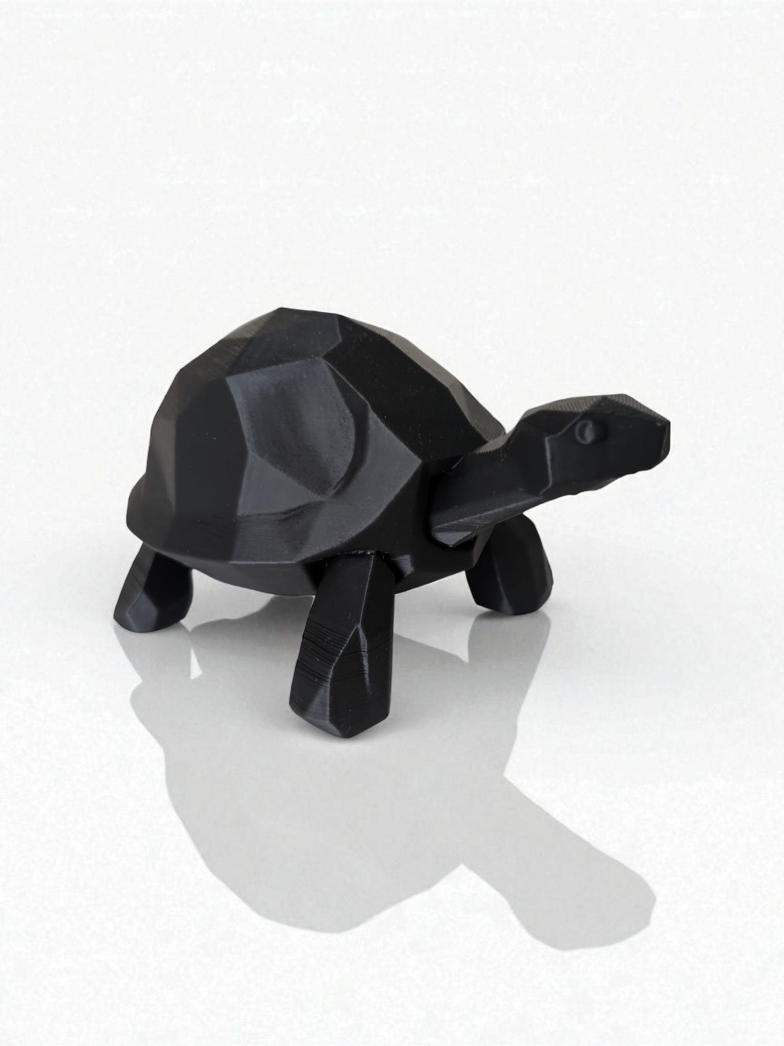 Miniatura 5 do modelo 3D Walking Low Poly Turtle