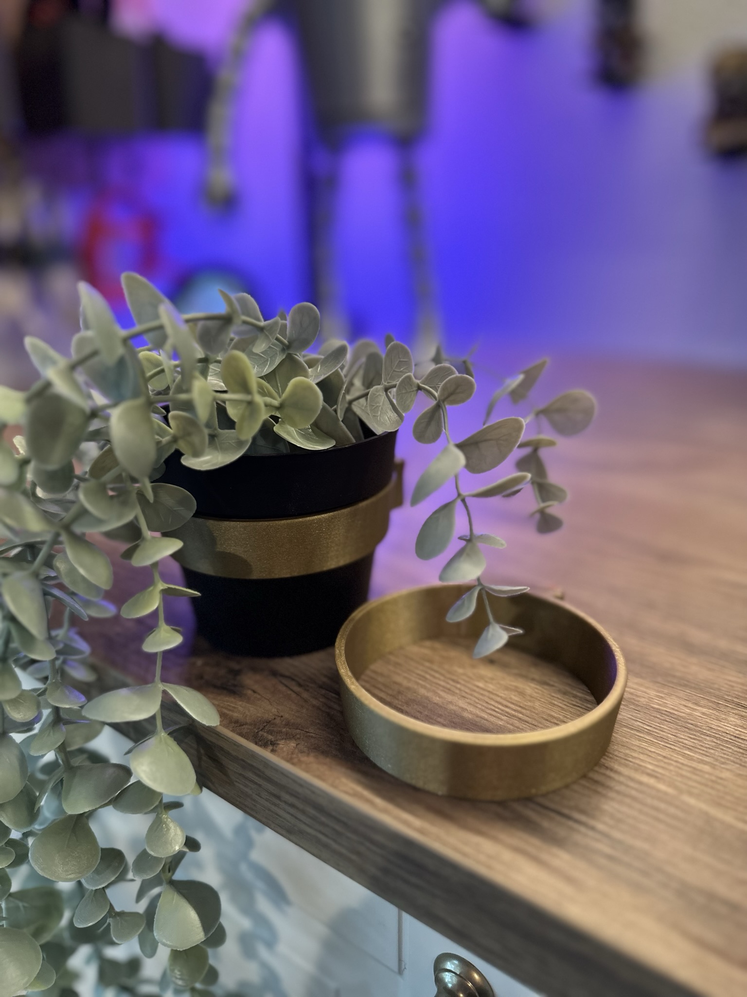 Ikea FEJKA Plant Holder Wall Mount by Mike Kippen Download free STL model